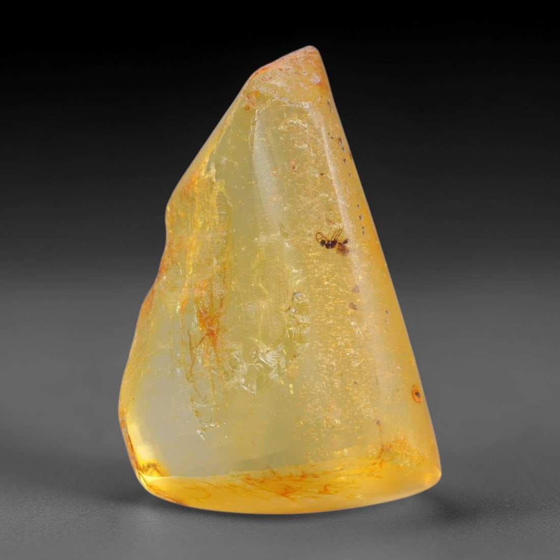 16.83ct Natural Baltic Polished Loose Freeform Amber Gemstone, 81AT: This smoothly polished freeform amber piece carries warm translucent organic clarity with fine natural fossil flecks and tiny mineral inclusions suspended throughout its 28x18mm flowing unstructured s