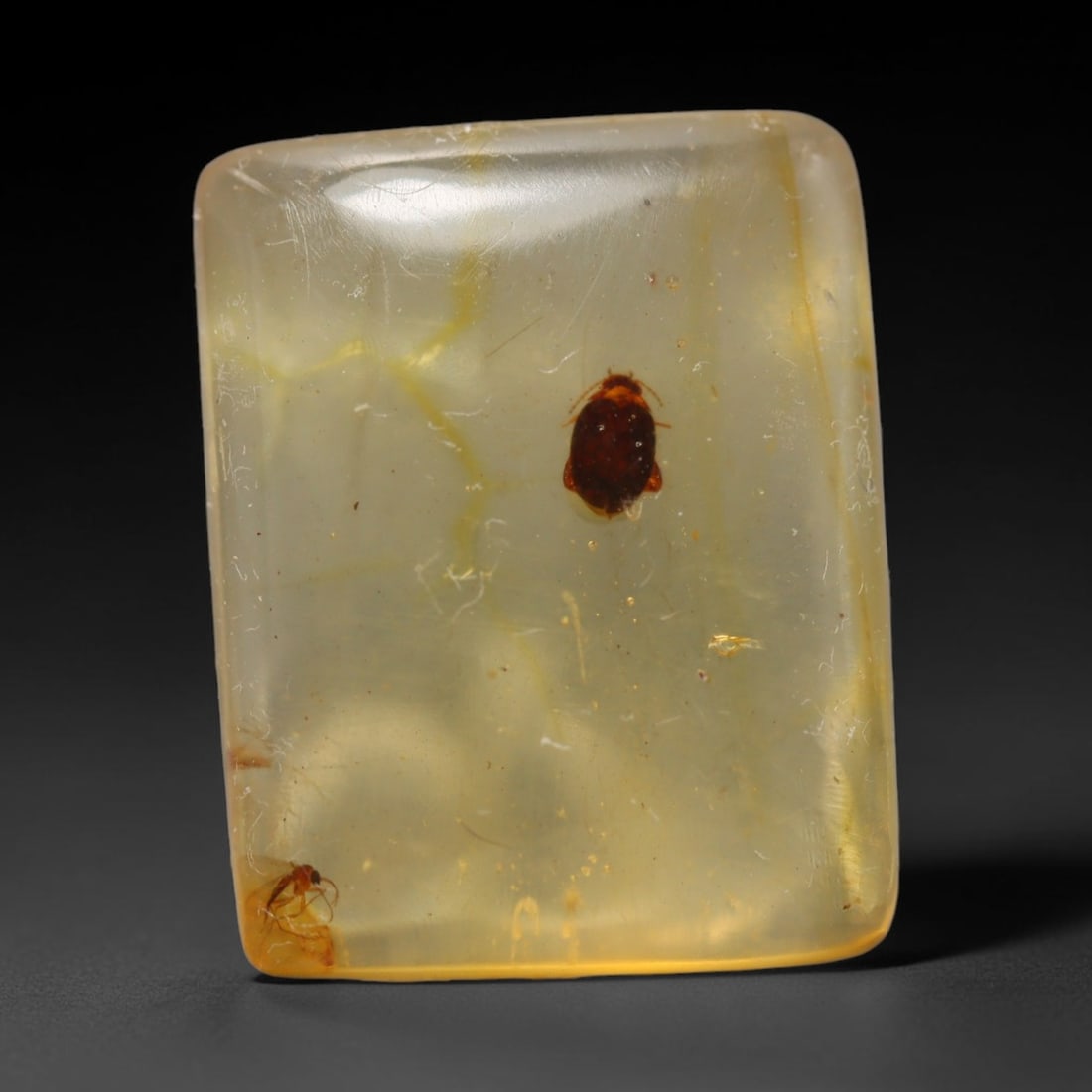 5.65ct Natural Baltic Amber Cabochon with Fossil Insect Inclusions Loose Gemstone, 45BY: This polished cabochon is genuine natural Baltic amber, featuring well-preserved fossilised ancient insect inclusions suspended within its warm golden-yellow resin matrix. Subtle organic plant debris 
