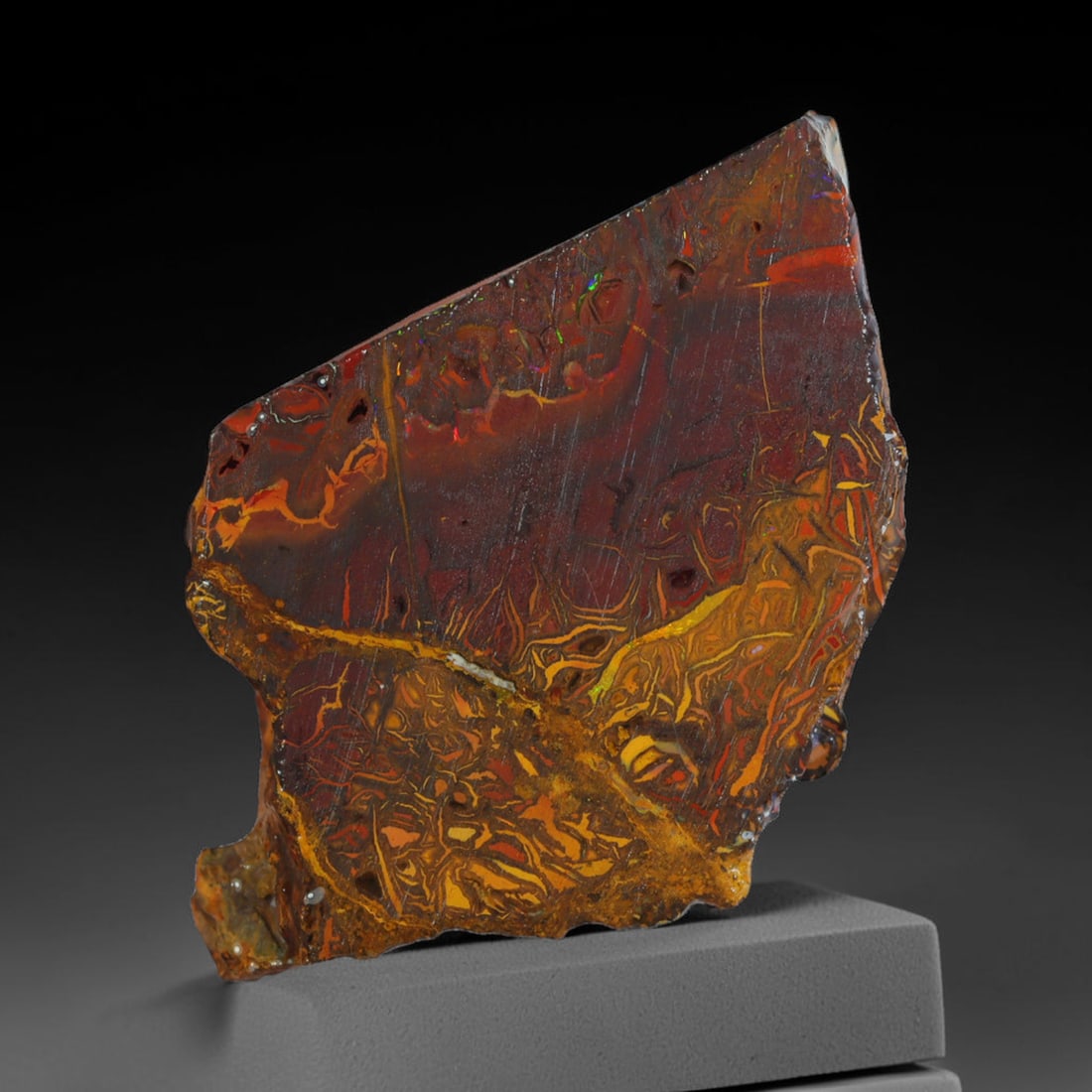 45.84ct Natural Australian Queensland Boulder Opal Sliced Slab Cutting Rough, 8AX: Natural sliced slab rough of Queensland boulder opal cutting grade, featuring rich color ironstone matrix with patterns. The face clearly reveals extensive opal veining and pocket formations running t