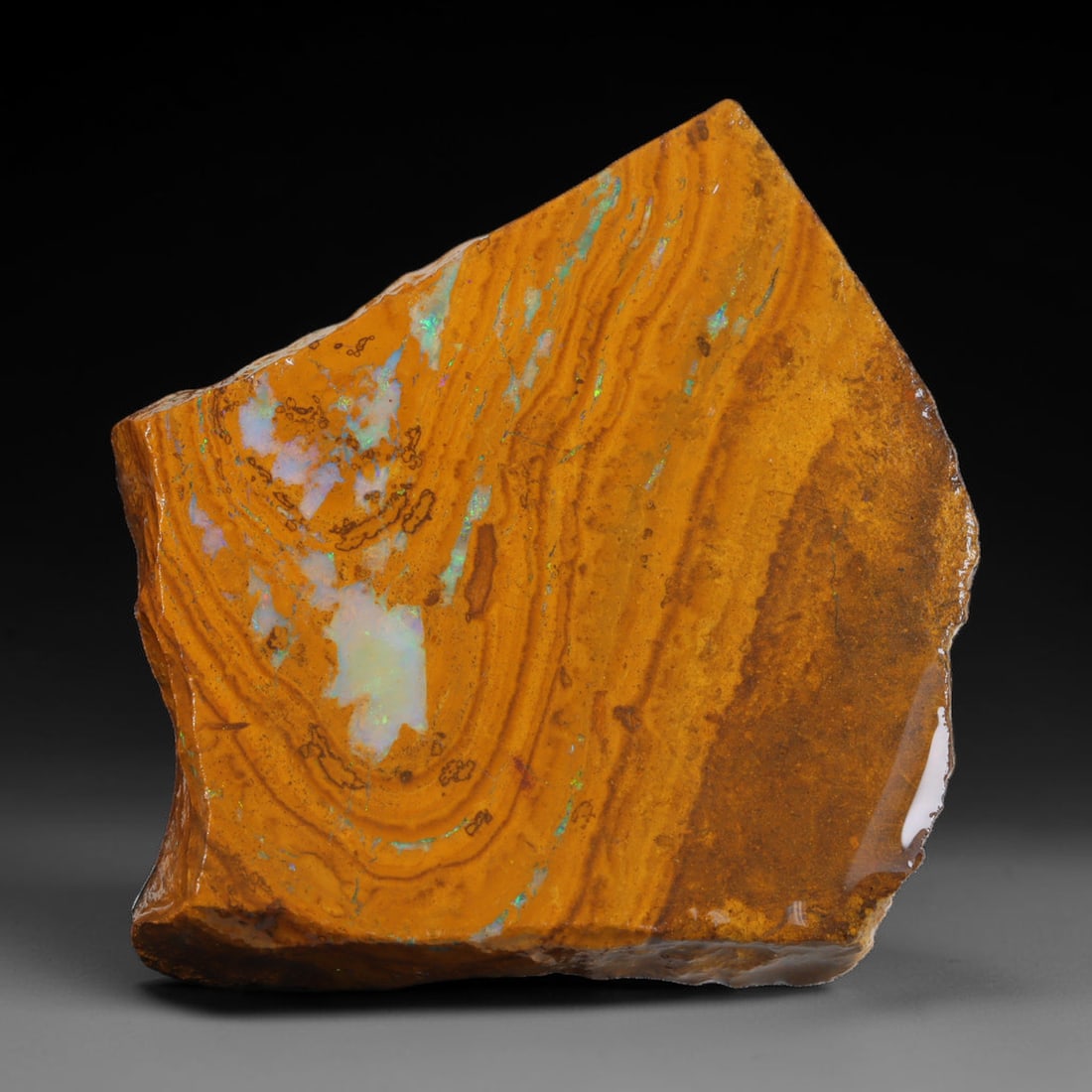 70.48ct Natural Australian Queensland Boulder Opal Sliced Slab Cutting Rough, 48AX: Natural sliced slab rough of Queensland boulder opal cutting grade, featuring rich color ironstone matrix with patterns. The face clearly reveals extensive opal veining and pocket formations running t