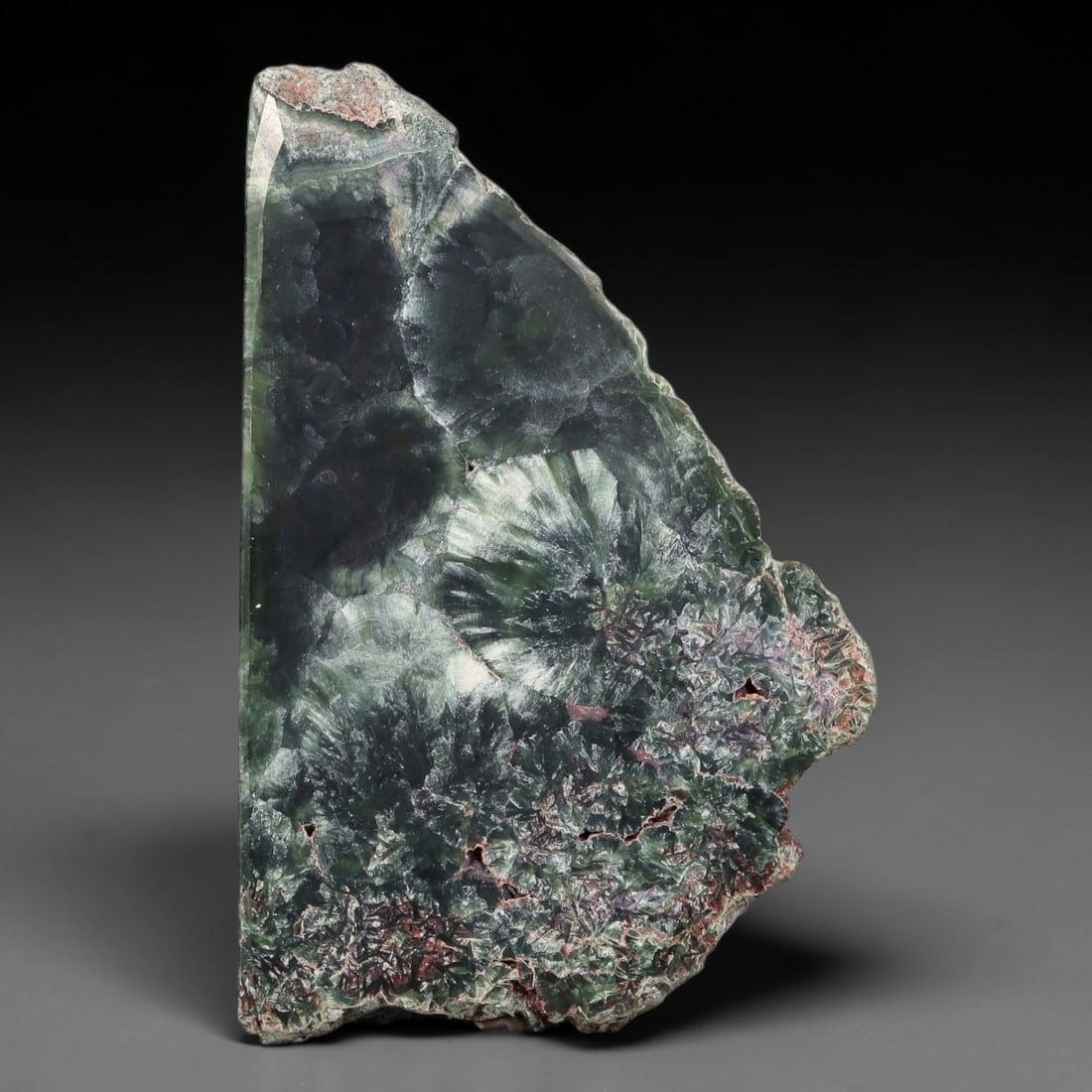 130ct Natural Siberian Seraphinite Polished Rough Slab, 18AR: This polished mineral slab is natural seraphinite originating from Siberian deposits, displaying characteristic radiating crystalline fibrous formations with layered deep forest and silvery green band