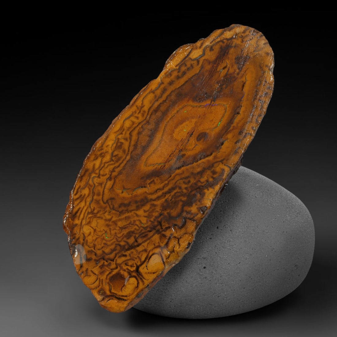 32.02ct Natural Australian Queensland Boulder Opal Sliced Slab Cutting Rough, 42AY: Natural sliced slab rough of Queensland boulder opal cutting grade, featuring rich color ironstone matrix with patterns. The face clearly reveals extensive opal veining and pocket formations running t