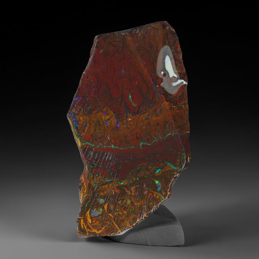 19.68ct Natural Australian Queensland Boulder Opal Sliced Slab Cutting Rough, 83AV: Natural sliced slab rough of Queensland boulder opal cutting grade, featuring rich color ironstone matrix with patterns. The face clearly reveals extensive opal veining and pocket formations running t