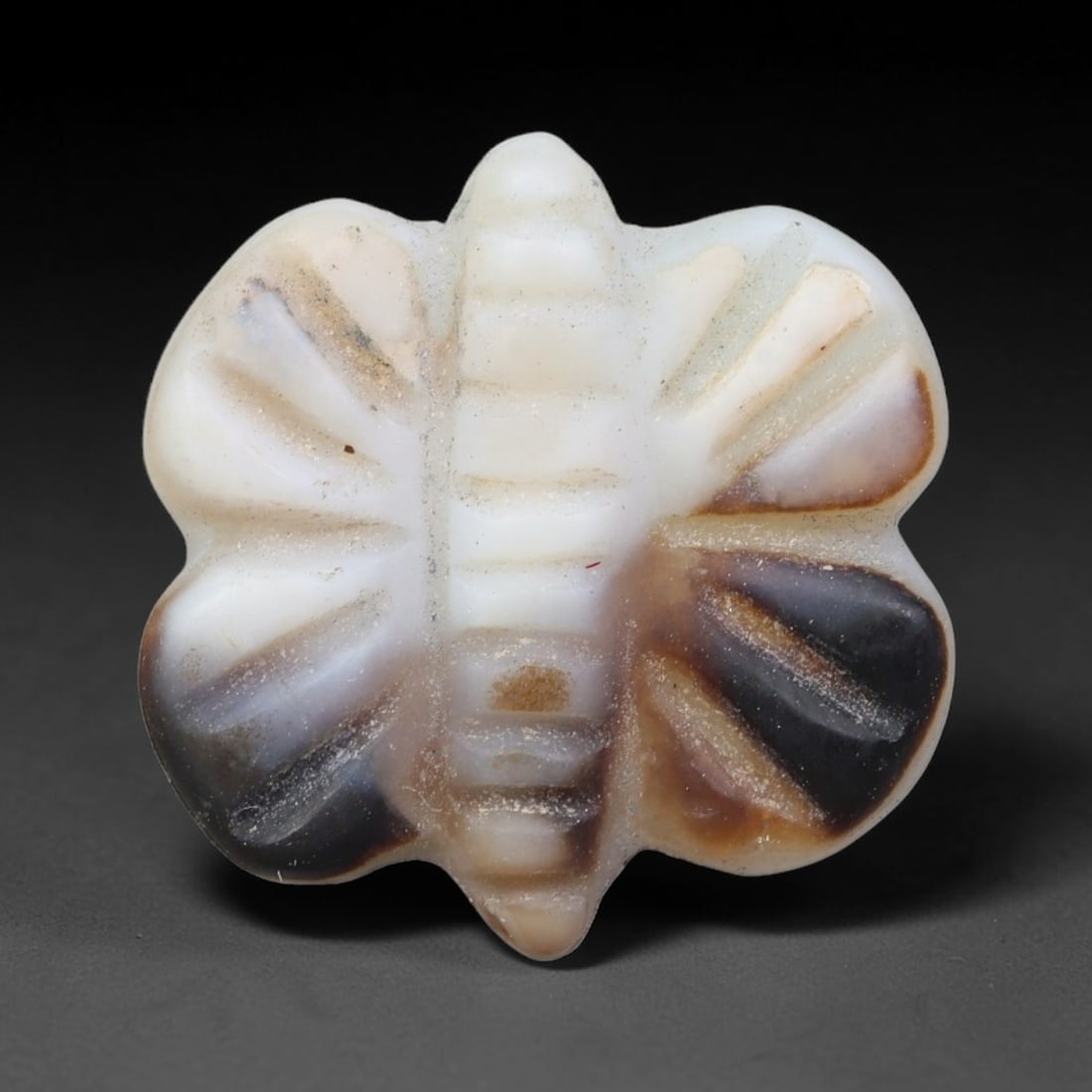 Ancient Sasanian Persian Banded Agate Fly Amulet Bead (224-651 CE), 61FV: This antique fly-form amulet bead carved from natural banded agate originates from the Sasanian Persian Empire. Insect amulets held symbolic meaning of endurance and resilience within ancient Persian 