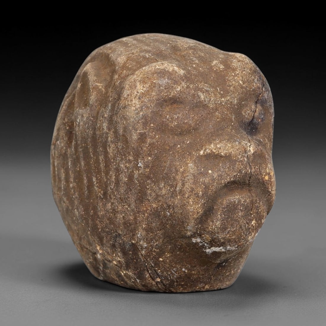 Ancient Medieval Near Eastern Stone Zoomorphic Head (600-1100 CE), 62EJ (1 of 1)