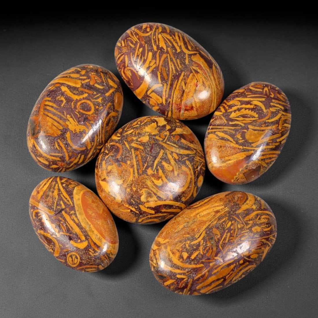 76.25ct Natural Indian Mariam Jasper (Calligraphy Stone) Cabochon Parcel Lot, 51EX: This polished cabochon parcel features oval finished Mariam Jasper, also known as Calligraphy Stone. Smooth domed surfaces showcase intricate natural fossil-derived linear and swirling golden-orange p