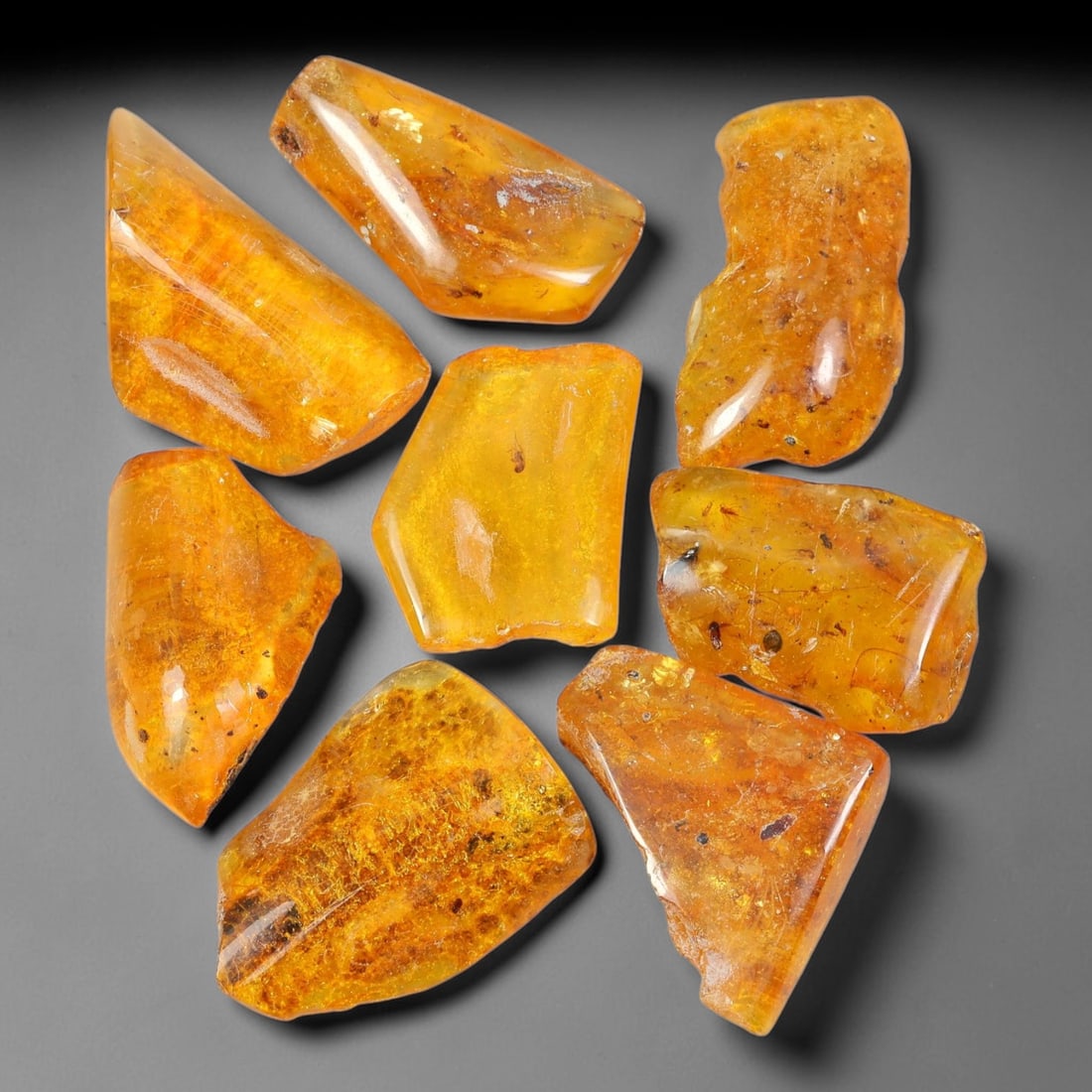 111.76ct Natural Baltic Amber Polished Rough Parcel Lot, 46EY: This polished rough parcel consists of free-form baltic amber specimens with warm golden-yellow to honey-orange translucency. Partial high-gloss polished surfaces reveal visible insect debris and orga