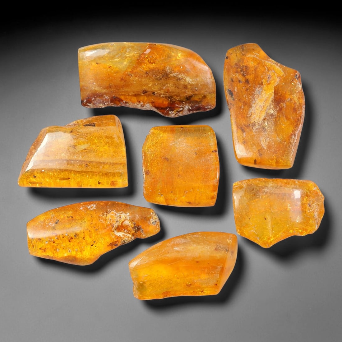 118.17ct Natural Baltic Amber Polished Rough Parcel Lot, 49EY: This polished rough parcel consists of free-form baltic amber specimens with warm golden-yellow to honey-orange translucency. Partial high-gloss polished surfaces reveal visible insect debris and orga