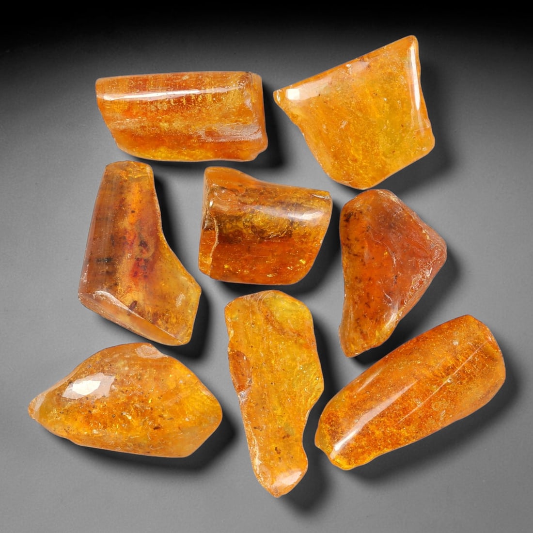 115.63ct Natural Baltic Amber Polished Rough Parcel Lot, 47EY: This polished rough parcel consists of free-form baltic amber specimens with warm golden-yellow to honey-orange translucency. Partial high-gloss polished surfaces reveal visible insect debris and orga