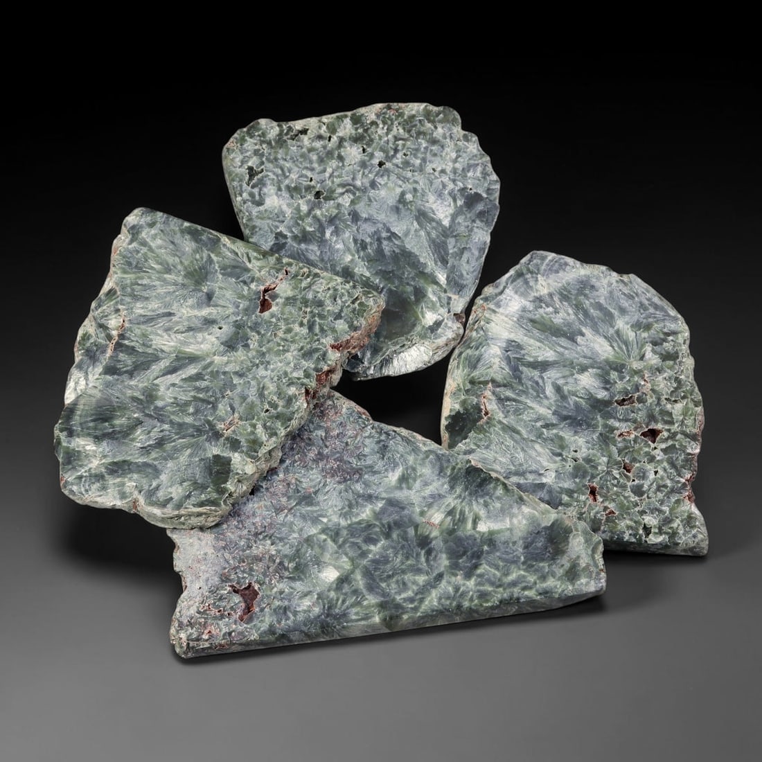 495ct Natural Siberian Seraphinite Rough Slab Parcel Lot, 79EX: This rough slab parcel showcases striking seraphinite specimens distinguished by signature feathery, fan-like silvery-green crystalline sprays across sawn surfaces. Deep forest-green matrix interweave