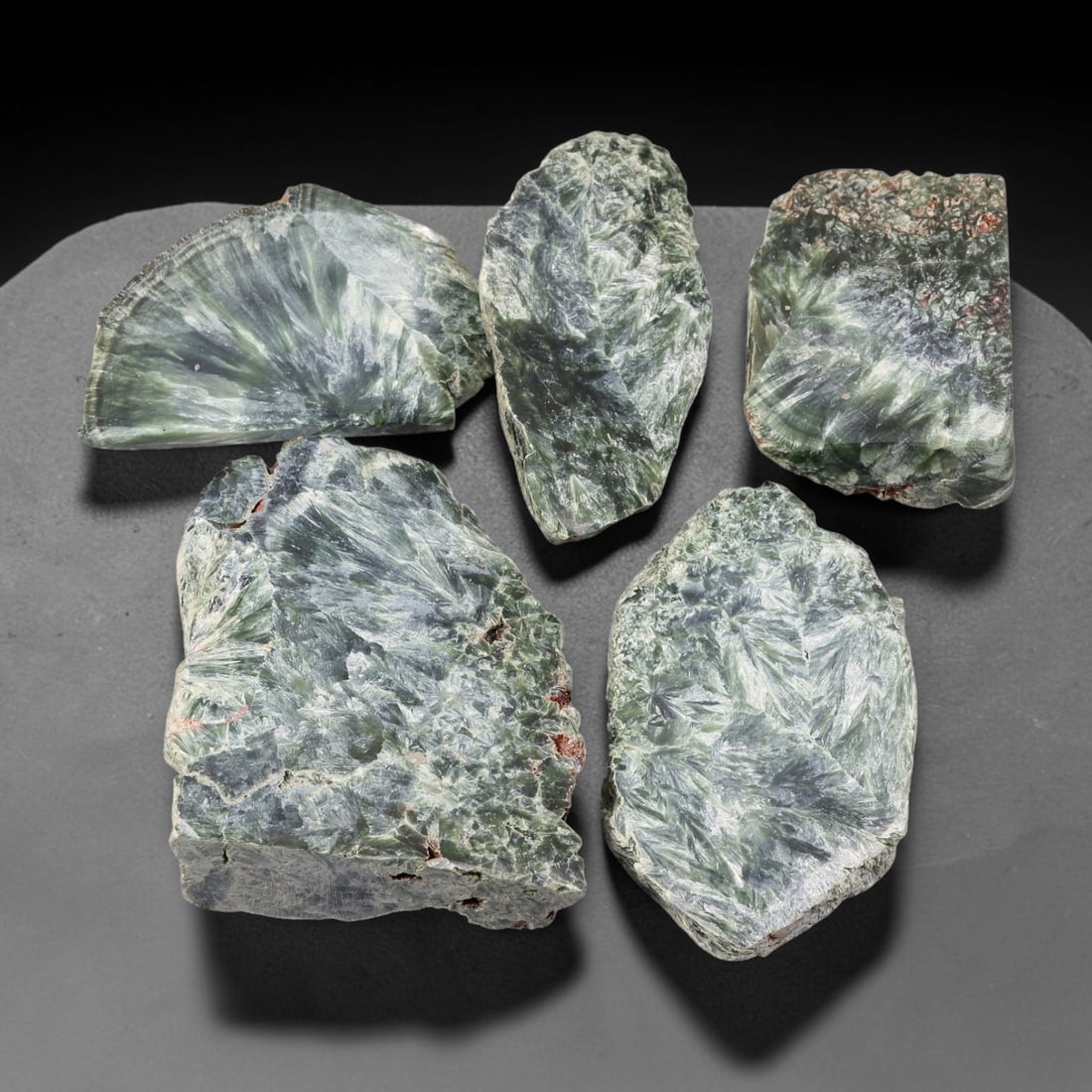 570ct Natural Siberian Seraphinite Rough Slab Parcel Lot, 81EX: This rough slab parcel showcases striking seraphinite specimens distinguished by signature feathery, fan-like silvery-green crystalline sprays across sawn surfaces. Deep forest-green matrix interweave