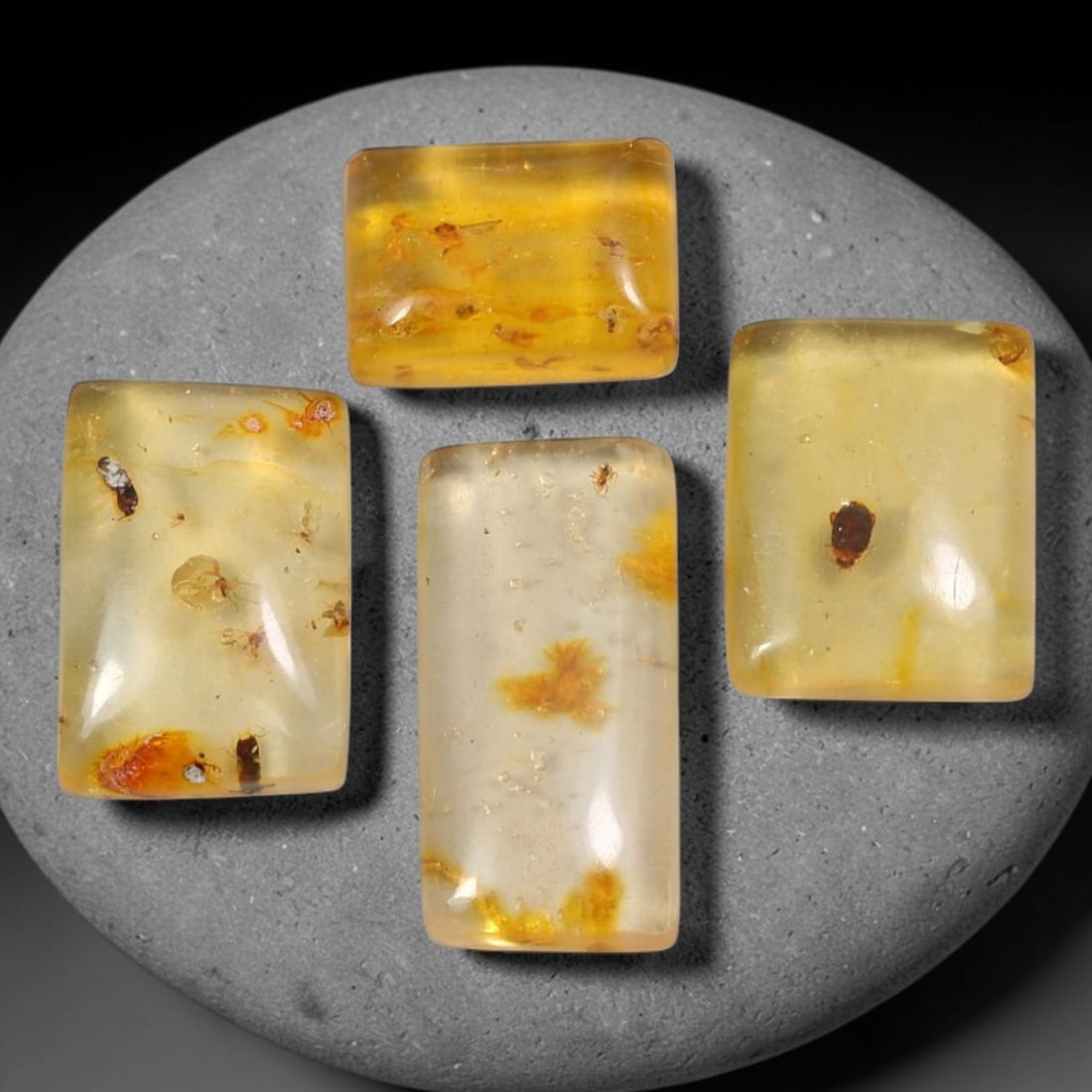 22.55ct Natural Baltic Amber Polished Cabochon Parcel Lot, 57EY: This parcel features rounded rectangle cabochon baltic amber pieces with warm translucent golden-yellow to honey-gold tones. Smooth polished domed surfaces expose numerous preserved small insect fragm