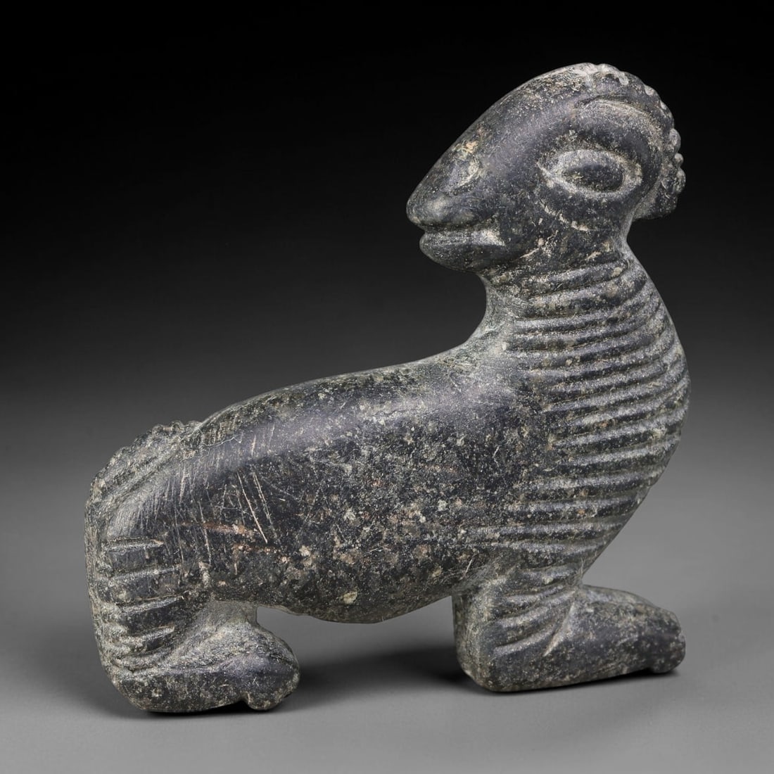 Ancient Sasanian Persian Schist Crouching Ibex Talisman Figurine (224-651 CE), 56AJ: Dark schist zoomorphic votive figurine depicting a crouched ibex, a widely favoured protective motif within Sasanian Persian folk-ritual craft. Fine parallel incised striations render the neck, mane a