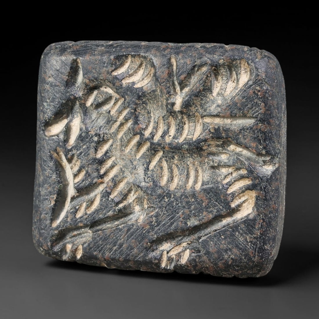 Ancient Sasanian Persian Schist Double-Sided Convex Intaglio Seal (224-651 CE), 55AJ: Dark schist double-convex intaglio seal of Sasanian Persian manufacture, bearing distinct iconography upon each face. One side presents a finely rendered zoomorphic creature in relief intaglio, the op