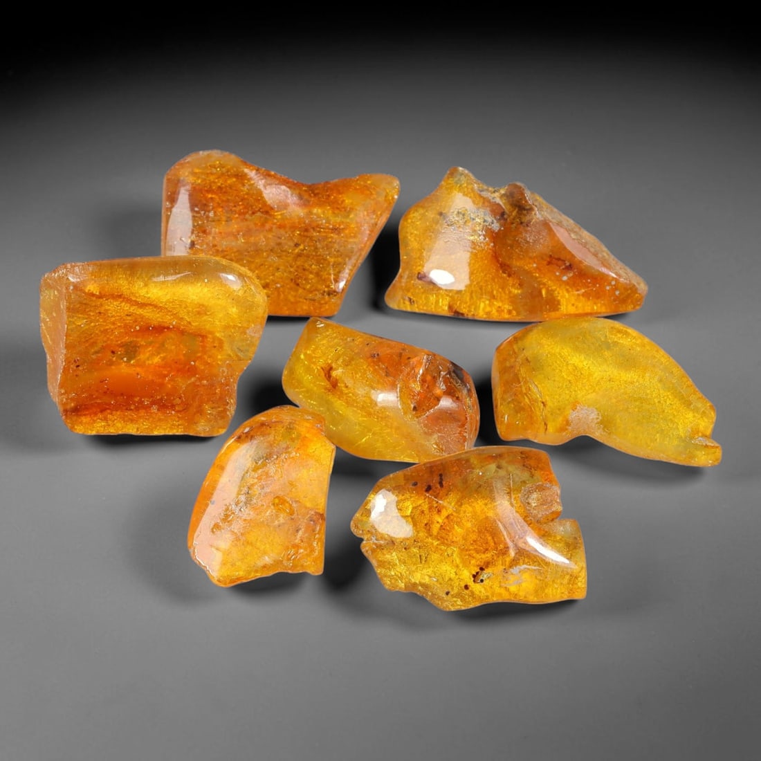 122.21ct Natural Baltic Amber Polished Rough Parcel Lot, 31AJ: This polished rough parcel consists of free-form baltic amber specimens with warm golden-yellow to honey-orange translucency. Partial high-gloss polished surfaces reveal visible insect debris and orga