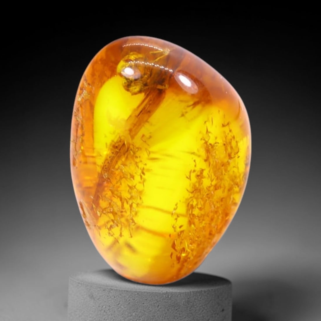 *1.92Ct Natural Million Year Old Baltic Insect Amber, 12x8mm , 229C: No Reserve Gems AuctionSubject: Natural Amber Origin: Lithuania Treatment: None