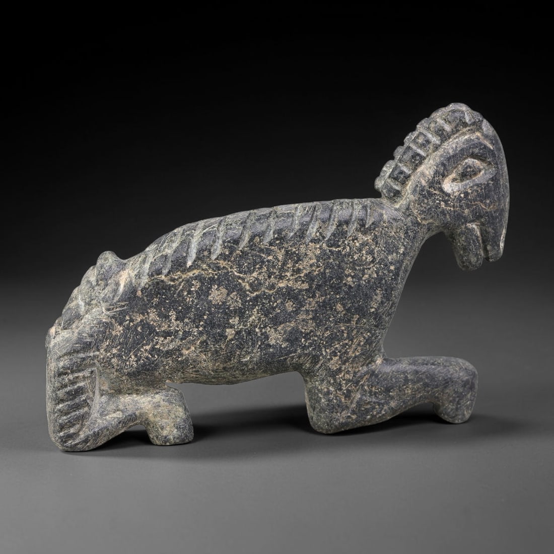 Ancient Sasanian Persian Schist Crouching Ibex Talisman (224-651 CE), 68AJ: Dark schist carved zoomorphic amulet portraying a crouched ibex, characteristic of Sasanian Persian protective-ritual stone craft. Incised linear striations articulate the horn detailing, mane and bod