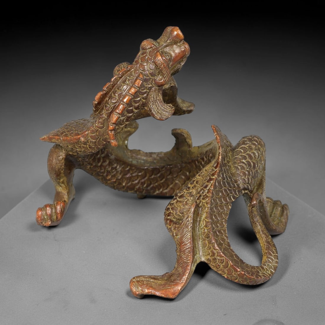 A Chinese Bronze Coiled Dragon Figurine, 81AX: Cast bronze figurine of a dynamically posed coiled dragon with finely incised overlapping scale detailing across the body, defined facial features, flowing fins and powerful clawed limbs. The bronze b