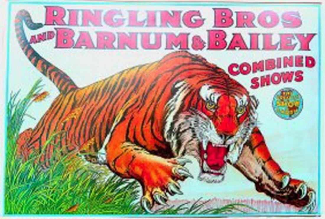 Ringling Bros and Barnum & Bailey Circus Poster: Ringling Bros and Barnum & Bailey combined shows , the greatest show on earth Circus Poster of leaping Tiger, by Charles Livingston printed by Illinois Litho Co chicago.size 22 x 33 inches