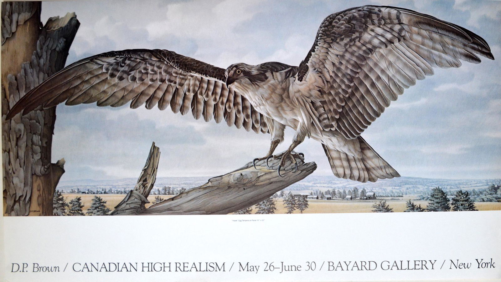 D.P. Brown - "Canadian Hight Realism": D.P. Brown - "Canadian Hight Realism", 20 x 36 inches
