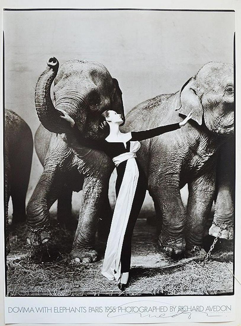RICHARD AVEDON "DOVIMA WITH ELEPHANTS" SIGNED POSTER: RICHARD AVEDON "DOVIMA WITH ELEPHANTS" SIGNED POSTER. PARIS 1955. MEASURES AT 27 X 37
