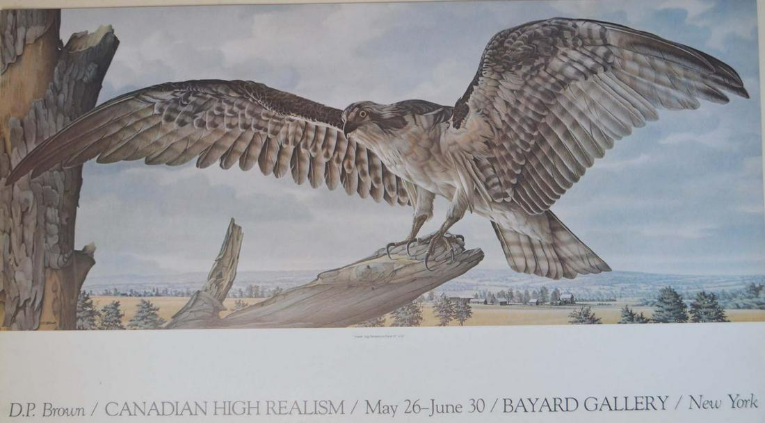 D.P. BROWN - "HAWK": D.P. BROWN - "HAWK", MEASURES AT 20 X 36, GOOD CONDITION