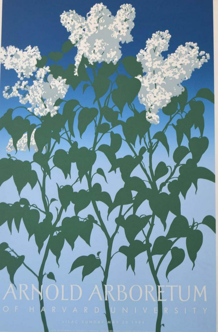 OREN SHERMAN -"ARNOLD ARBORETUM": OREN SHERMAN -"ARNOLD ARBORETUM", 1984, MEASURES AT 20 X 30, GOOD CONDITION