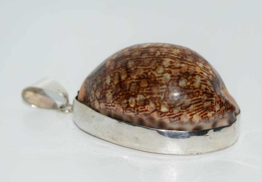 Large Tiger Cowrie Shell Sterling Silver Pendant (1 of 5)