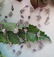Silver Tone Nugget Necklace - 3