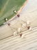 Sterling Silver Earrings - 3