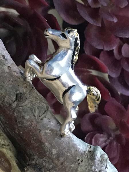 Sterling Silver Slide Charm (1 of 5)
