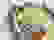 item-102882630=7
