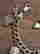 item-136897405=2