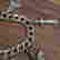 item-136897405=5