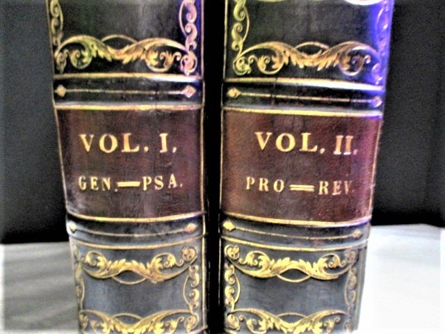 1846 Catholic Douay Family Bible: 1846 Catholic Douay Family Bible, Notes by GEORGE LEO HAYDOCK Illustrated WOW! The Holy Bible, translated from the Latin Vulgate, Diligently Compared with the Hebrew, Greek, and Other Editions in Dive