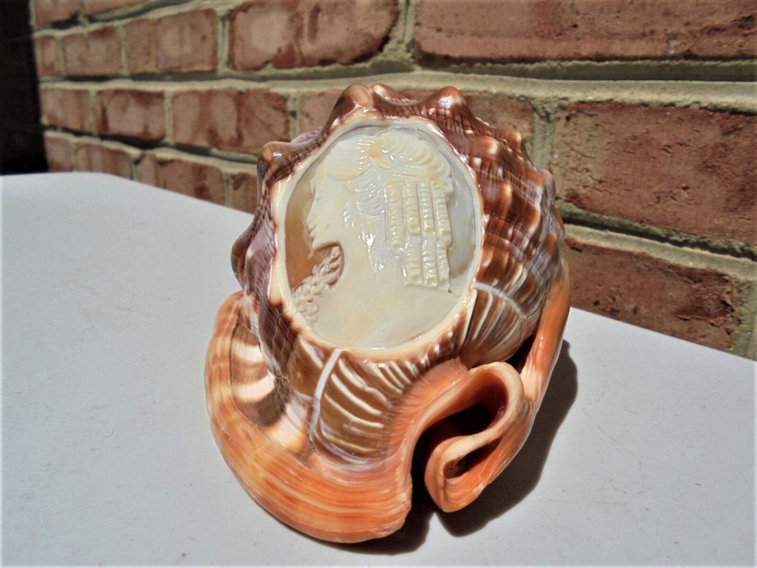 1910 Antique Italian Conch Shell Carved Austen Cameo (1 of 6)