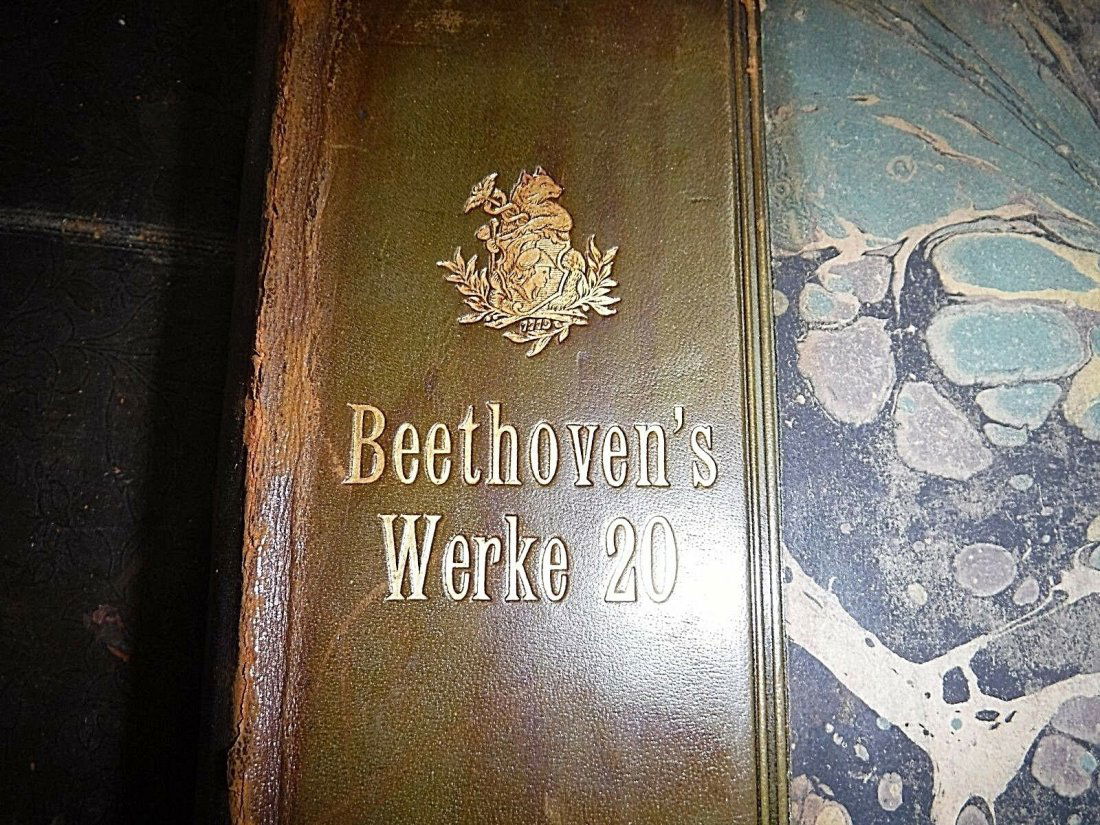 1880 Beethoven (1 of 15)