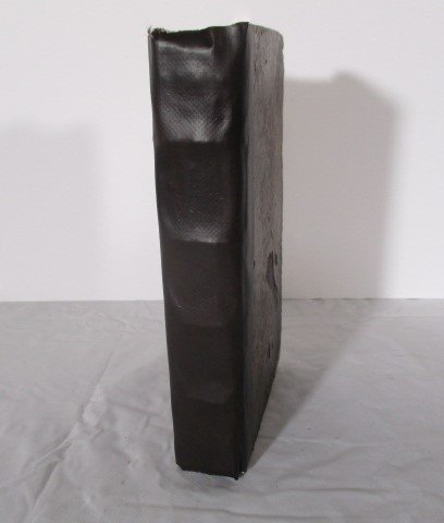 1676 MYSTICAL ROSIERE OF THE VERY HOLY VIRGIN V-Rare (1 of 14)