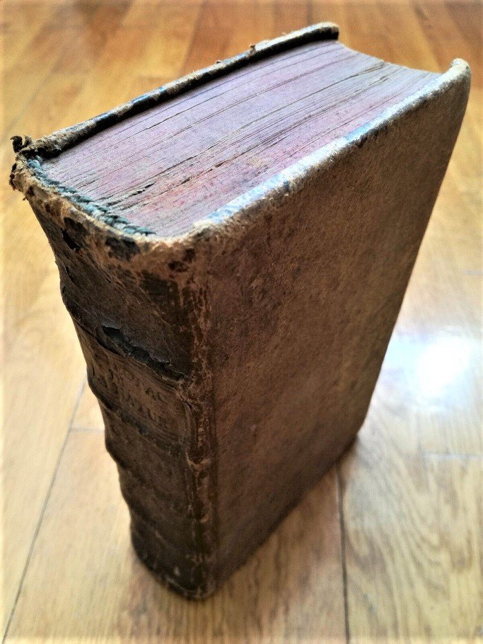 1742 Ship Sea Life, Natural History Engravings (1 of 9)