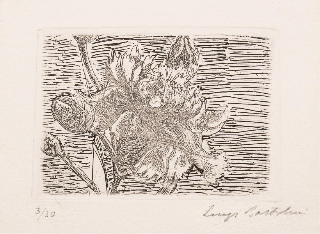 Bartolini, Luigi (1 of 1)