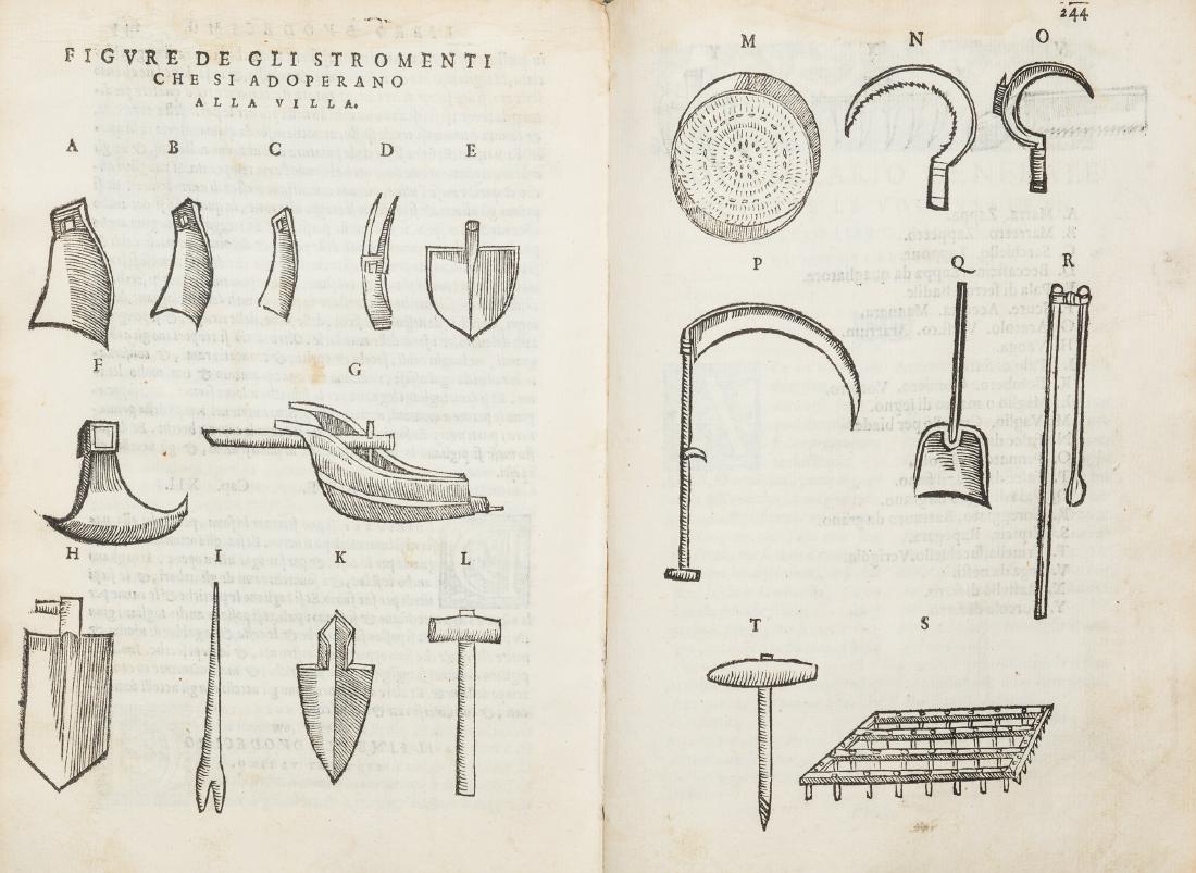 Crescenzi, Pietro de' (1 of 1)