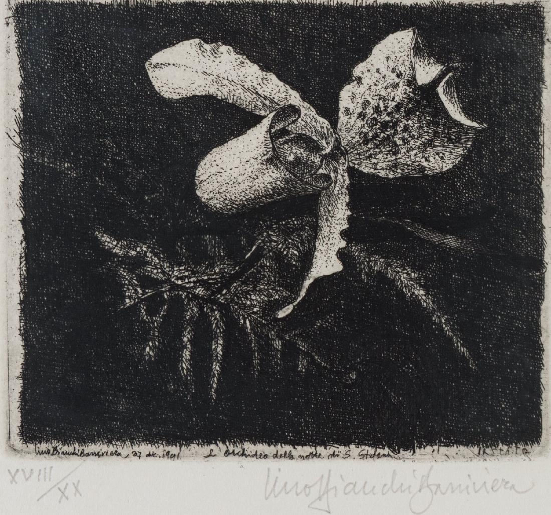 Lino Bianchi Barriviera (Montebelluna 1906 - Acilia (1 of 1)