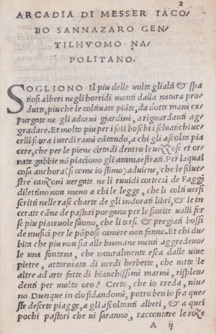 Sannazzaro, Jacopo (1 of 1)