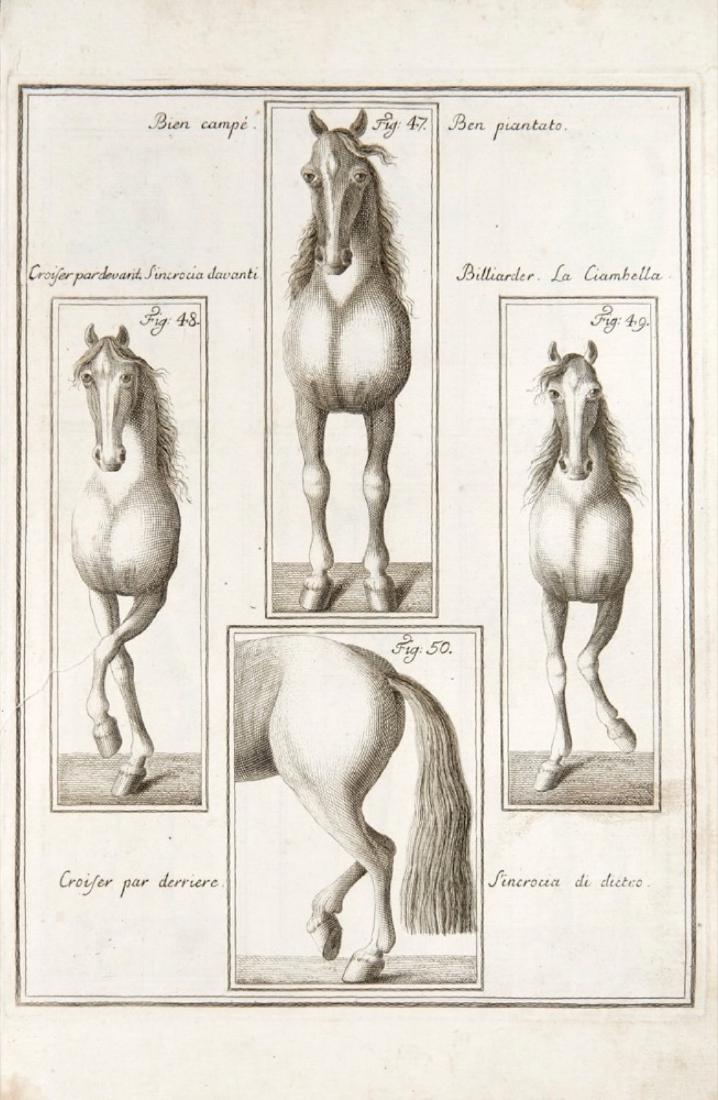 Equitazione - Eisenberg, Friedrich Wilhelm (1 of 1)