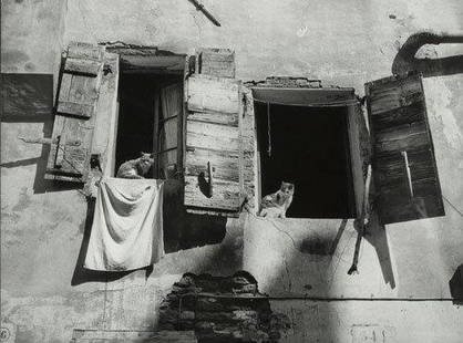 Mario De Biasi (1923) Venezia': Mario De Biasi (1923) Venezia'1947. Stampa alla gelatina sali d'argento, vintage. 30,5 x 40 cm. ***Firma dell'autore e titolo sul verso..