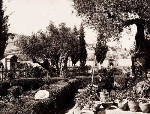 Frank Mason Good (1839-1928) Gerusalemme e luoghi: Frank Mason Good (1839-1928) Gerusalemme e luoghi sacri.1860-70 circa 16 stampe all'albumina. Da 24 x 17,5 cm a 21 x 16 cm (carta 41,5 x 30 cm). Vedute di luoghi in cui si sono svolte le vic