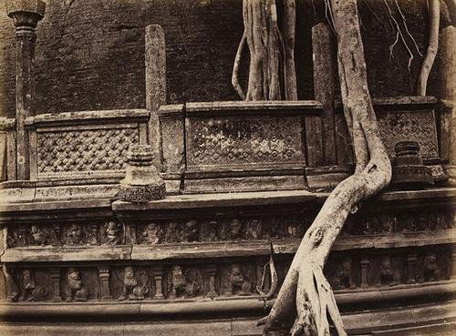 Joseph Lawton (XIX secolo), Samuel Bourne (1834-1: Joseph Lawton (XIX secolo), Samuel Bourne (1834-1912) e altri Album Ceylon. 1870 circa.88 stampe su carta all'albumina. 21 x 27 cm. (Pagina 41,5 x 31 cm; album 45 x 32,5 x 7 cm). Legatura in