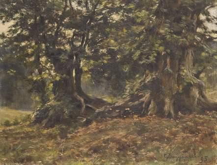 Guido Boggiani (1861-1902) Alberi nel bosco: Guido Boggiani (1861-1902) Alberi nel boscofirmato e datato 'G.Boggiani 95' (in basso a destra) olio su tela, senza cornice cm 25,3 x 33,5