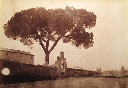 Giacomo Caneva (c.1813-1865) Campagna romana, ca.: Giacomo Caneva (c.1813-1865) Campagna romana, ca. 1852albumen print, printed by Tuminello ca. 1870. Cat. number 1146. cm 23 x 33(1)