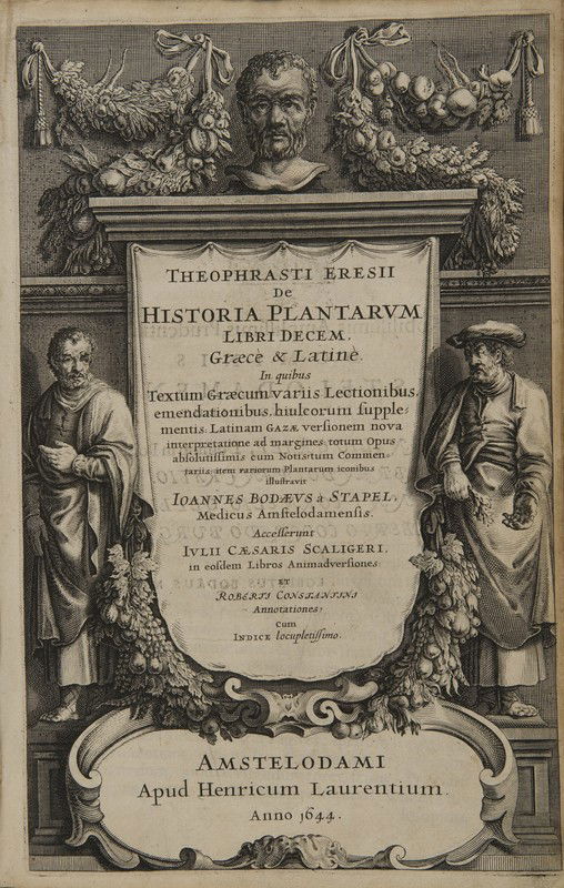 Teofrasto. De historia plantarum libri decem, Grae (1 of 1)